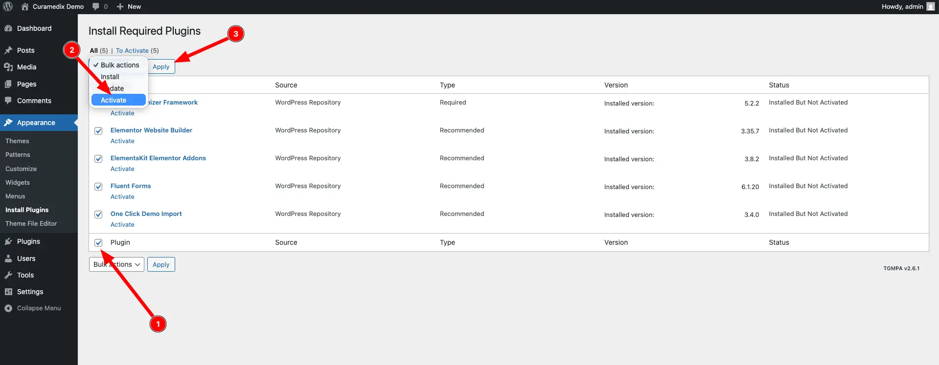 Screenshot of curamedix theme installation